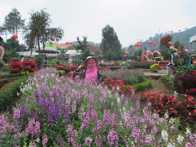10 Foto Kebun Begonia di Lembang Bandung, Tiket Masuk 2019 
